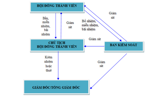 Cơ cấu tổ chức quản lý trong công ty TNHH hai thành viên trở lên