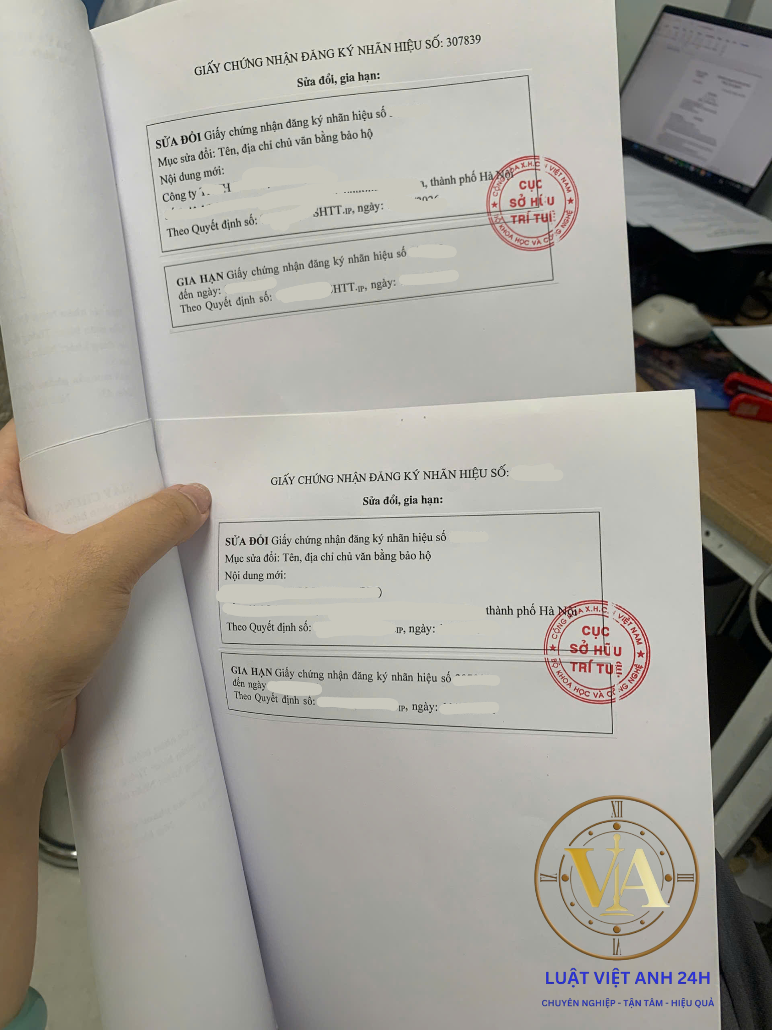 Dịch vụ gia hạn hiệu lực VBBH
